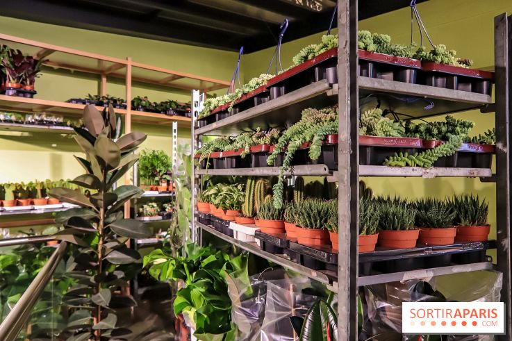 Bergamotte, le lieu de vie dédié au végétal