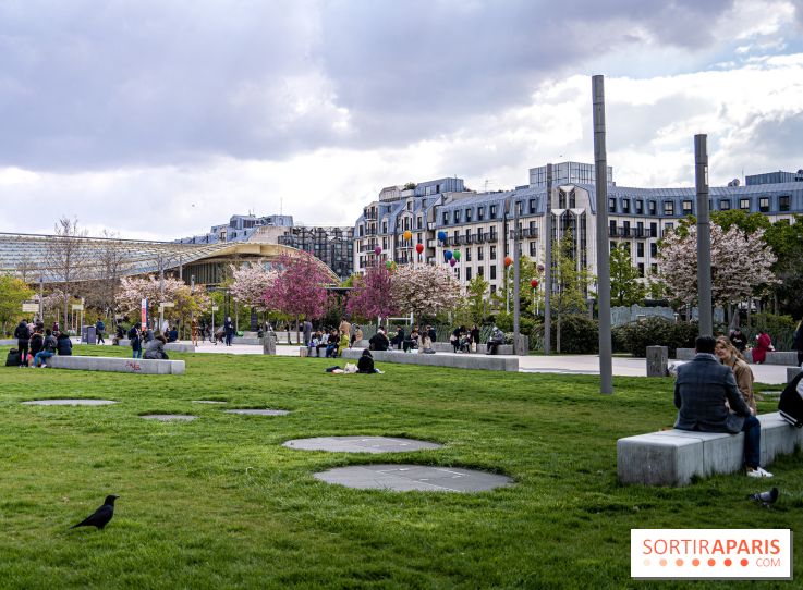 Visuel Paris Jardin Nelson Mandela cerisiers en fleurs