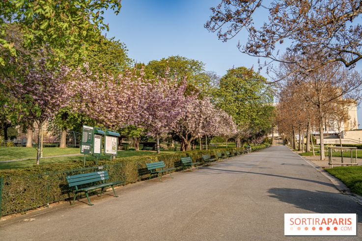 Visuel Paris Trocadéro cerisiers en fleurs