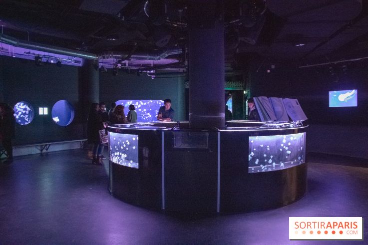 L'Aquarium de Paris ouvre son Médusarium
