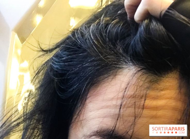 La coloration végétale chez Biocoiff'