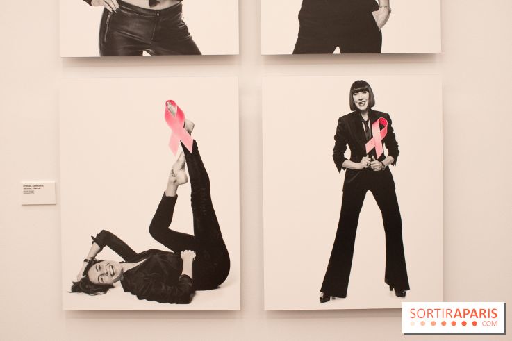 Stéphane de Bourgies, Quand le masque tombe