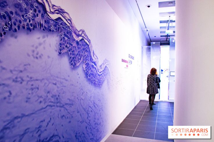 Dans ma peau au Musée de l'Homme : nos photos