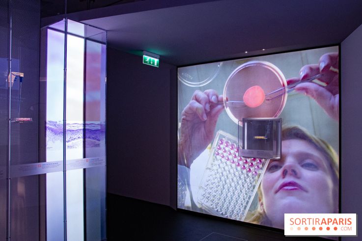 Dans ma peau au Musée de l'Homme : nos photos