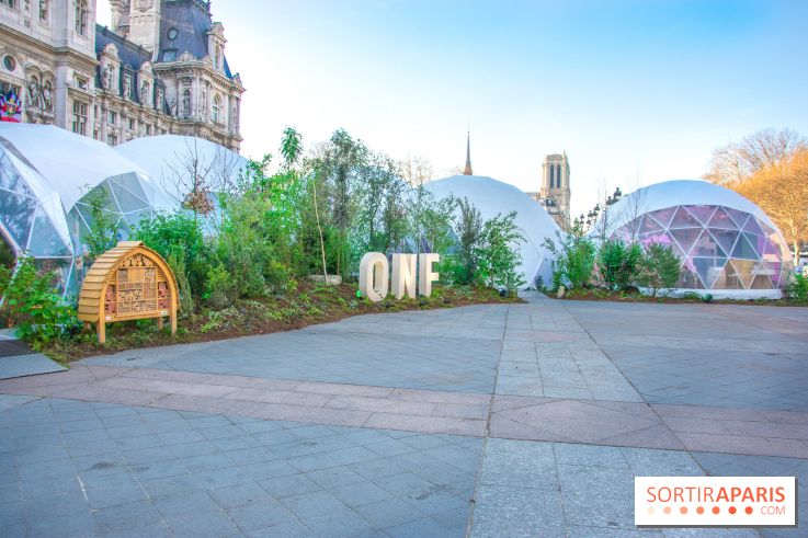 La forêt, une expérience à vivre sur le Parvis de l'Hôtel de Ville