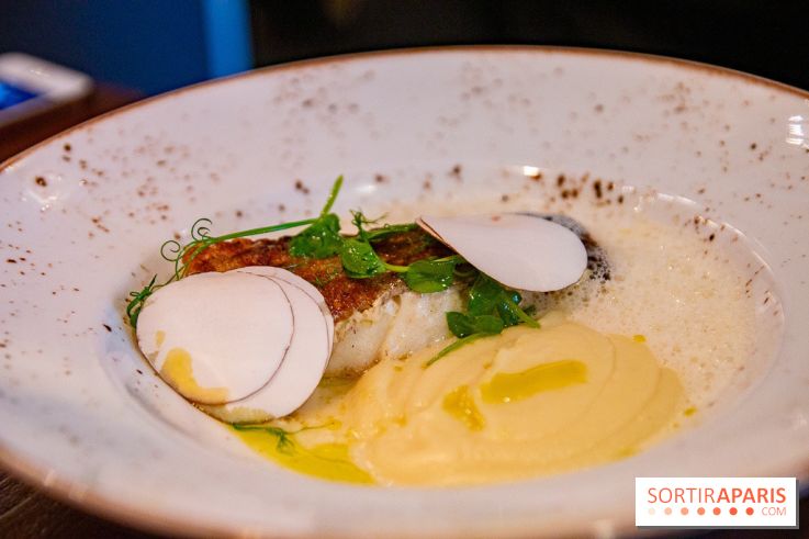 L'escient : nos photos