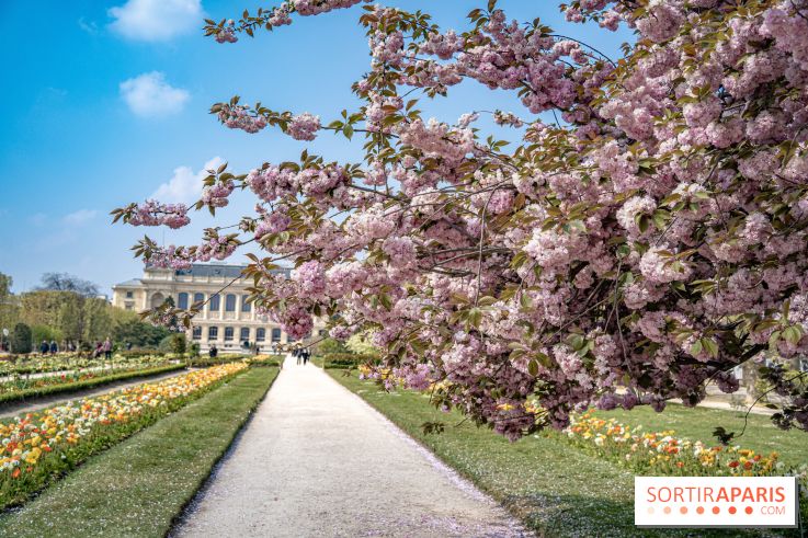 Le Jardin des Plantes