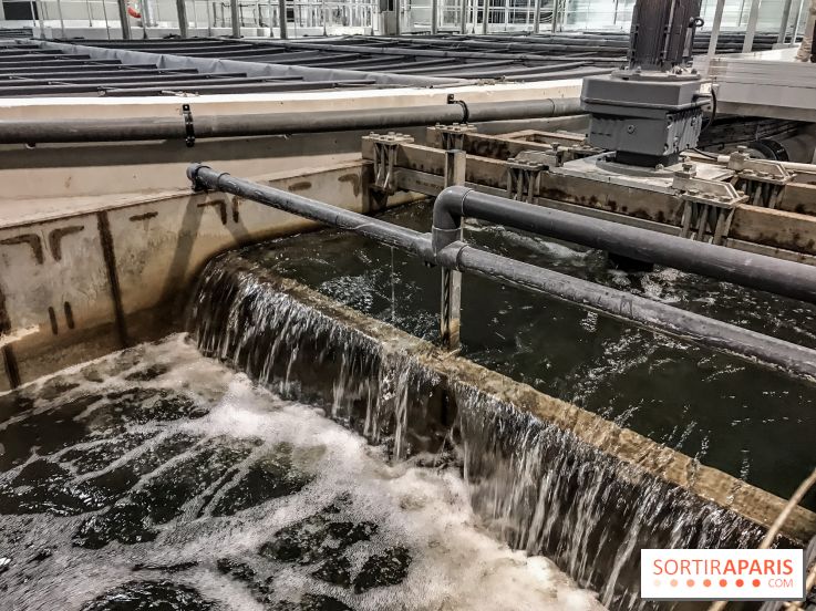 Earth Month à Disneyland Paris