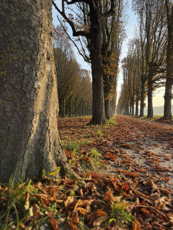 Activités sportives, visites culturelles et aventures partagées : des vacances pleines de souvenirs au Pays de Fontainebleau !