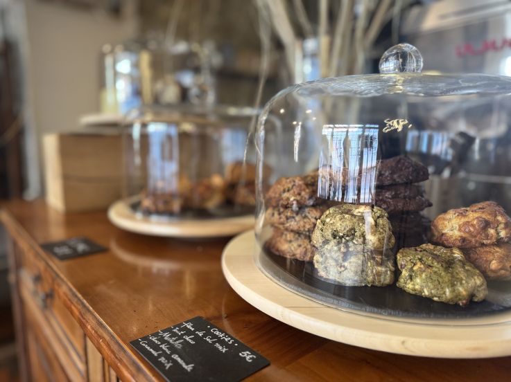 Activités sportives, visites culturelles et aventures partagées : des vacances pleines de souvenirs au Pays de Fontainebleau !