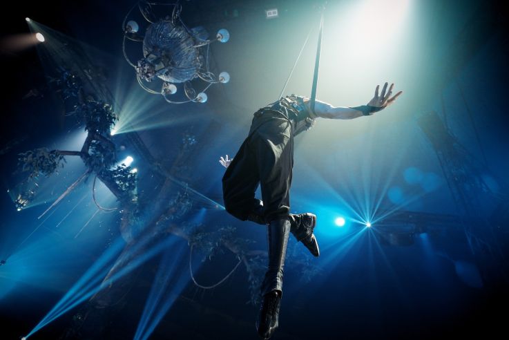 ARBRE : le nouveau spectacle féérique du cirque Théâtre Bormann