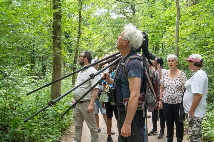 En mai, sortez et respirez dans les parcs départementaux de Seine-Saint-Denis !