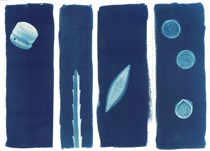 Fête de la Science à l'Ecole Normale Supérieure 