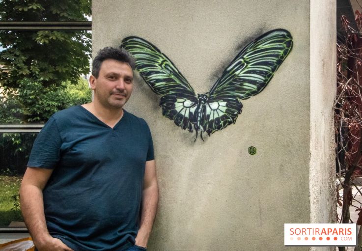 Les Papillons de C215