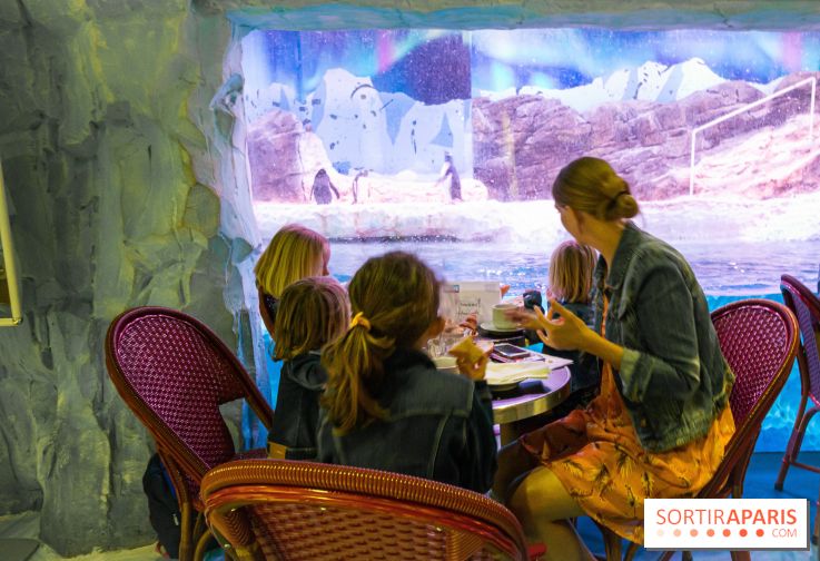 Les petits déjeuners avec les manchots de l'aquarium Sea Life