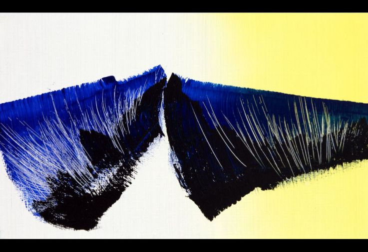 Le Musée d'Art Moderne de Paris fait la rétrospective d'Hans Hartung
