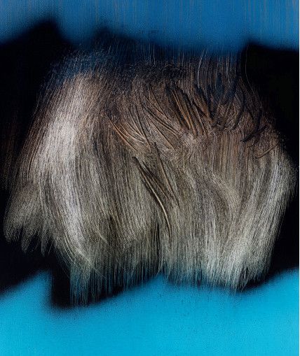 Le Musée d'Art Moderne de Paris fait la rétrospective d'Hans Hartung