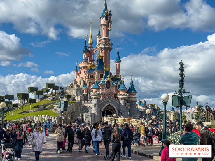 Visuels Disneyland Paris - chateau