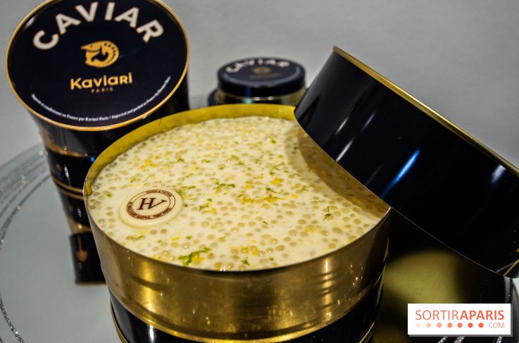 Bûches de Noël 2019 by Hugo & Victor, les photos