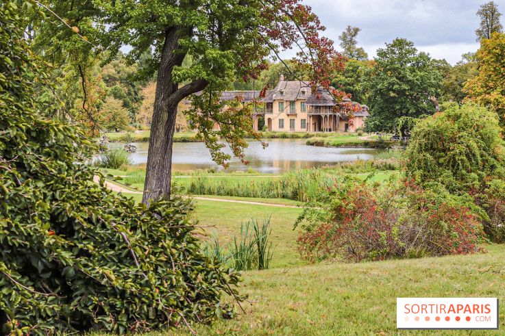 Le parcours des Arbres Admirables dans le domaine du château de Versailles
