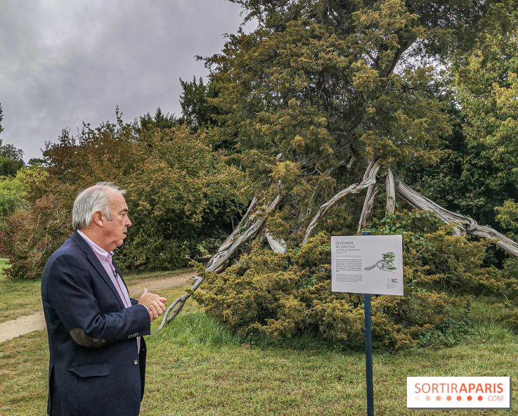 Le parcours des Arbres Admirables dans le domaine du château de Versailles