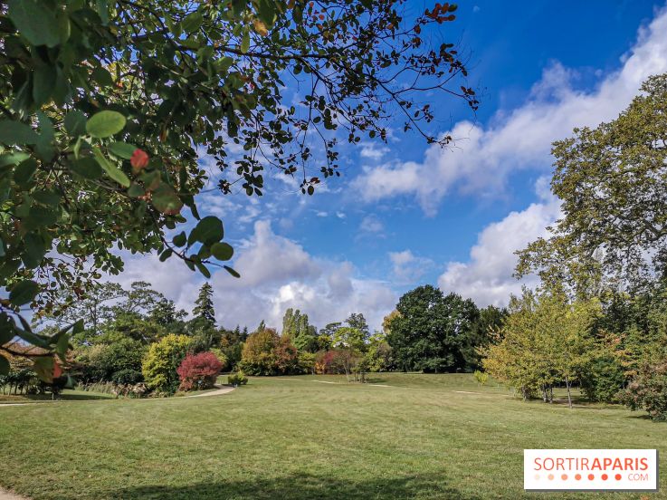 Le parcours des Arbres Admirables dans le domaine du château de Versailles