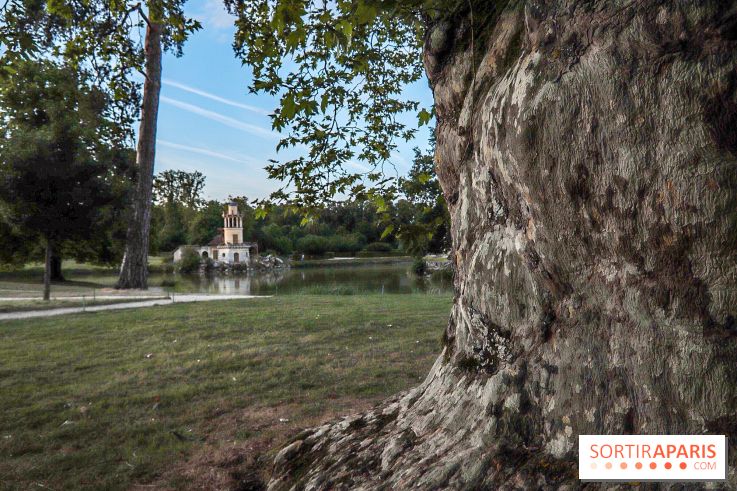 Le parcours des Arbres Admirables dans le domaine du château de Versailles