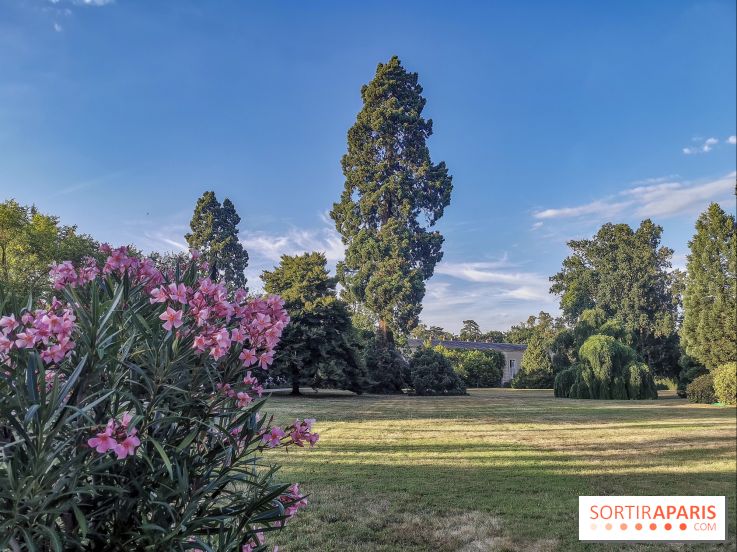 Le parcours des Arbres Admirables dans le domaine du château de Versailles
