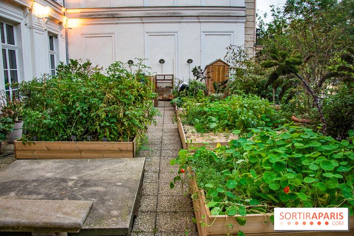 L'Hôtel des Grands Boulevards inaugure son potager suspendu