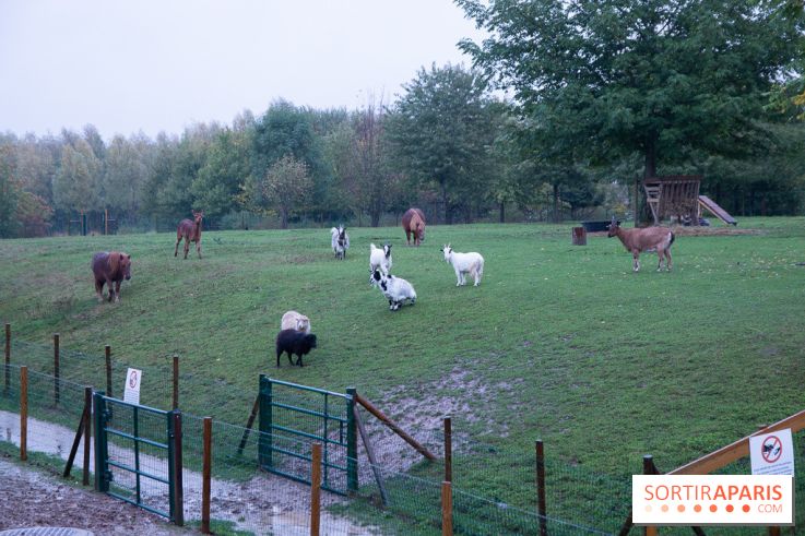 Campanile Val de France : nos photos