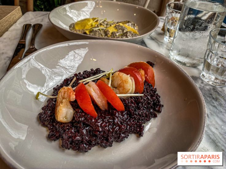 Cucina Eat, le restaurant méditerranéen à Paris