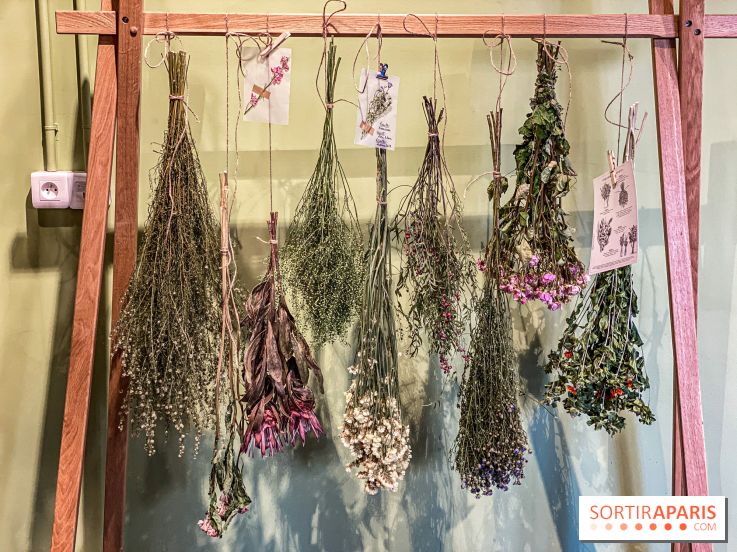 Bergamotte Kinfolk, la nouvelle collection de fleurs séchées naturellement