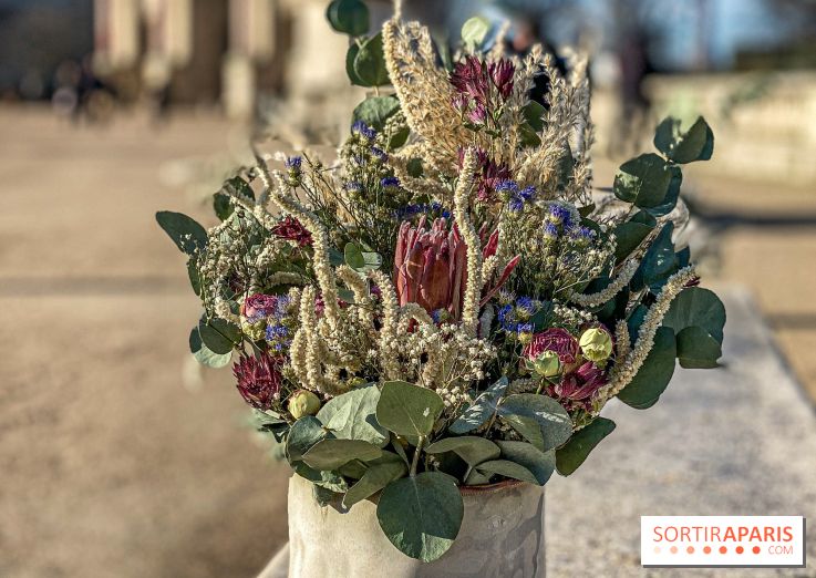 Bergamotte Kinfolk, la nouvelle collection de fleurs séchées naturellement