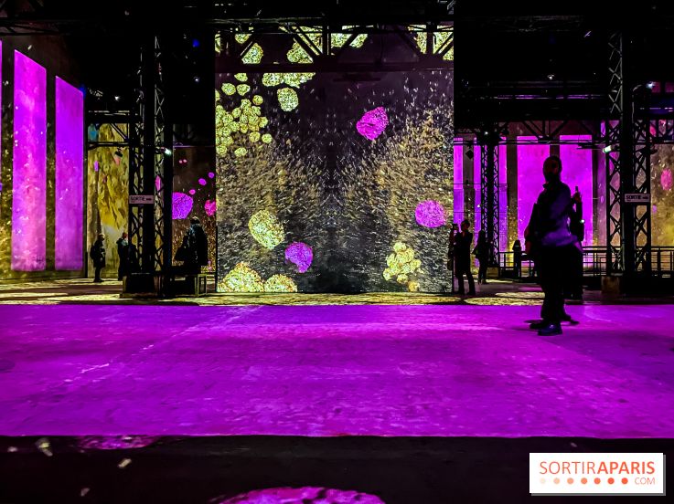 Yves Klein, l’Infini Bleu -  l’album photo