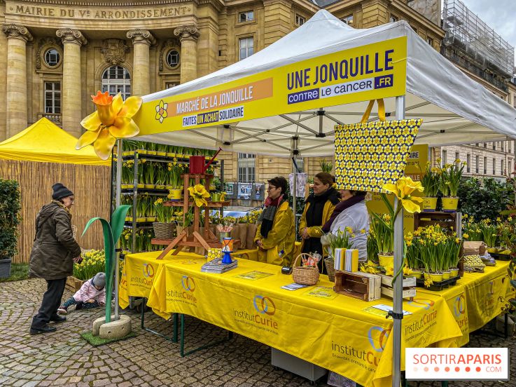 Une Jonquille pour Curie au Panthéon