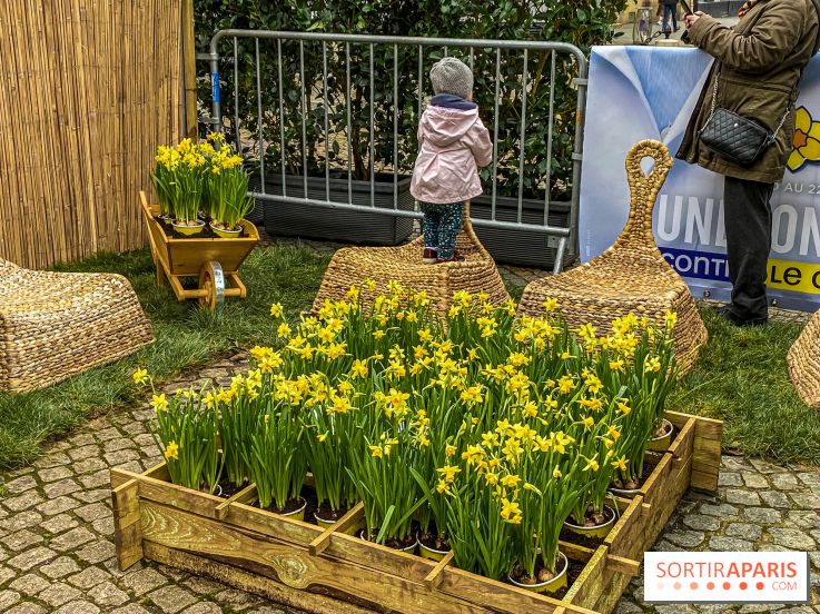 Une Jonquille pour Curie au Panthéon
