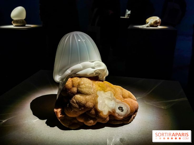 Rachel Rose, l'exposition gratuite à Lafayette Anticipations