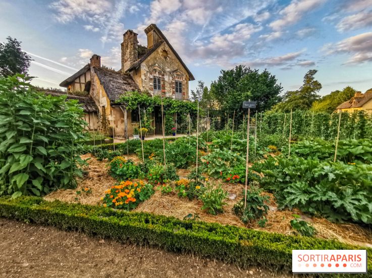 Le Domaine de Trianon et Hameau de la Reine