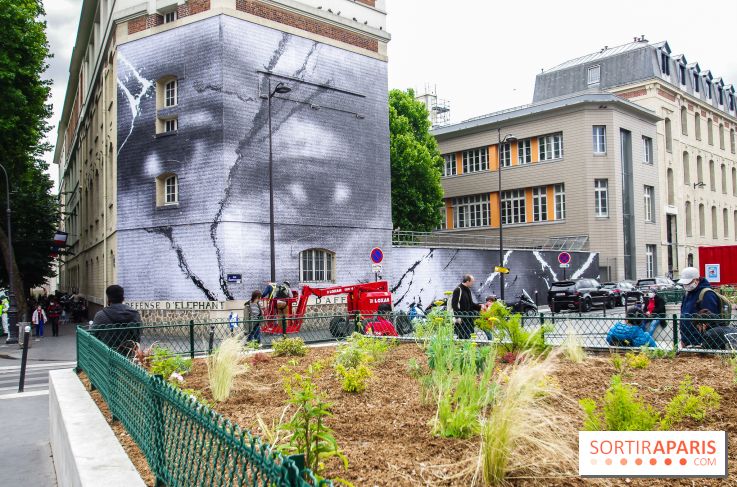 Hommage à Adama Traoré : l'artiste JR dévoile un collage géant à Paris, les photos