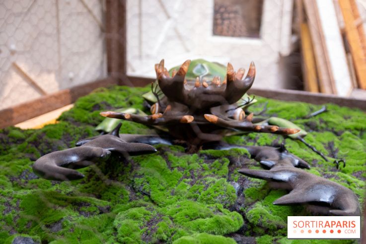 Araignées, Lucioles et Papillons au Musée en Herbe : nos photos