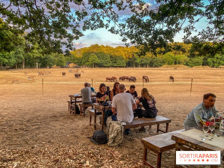 Photos du Dîner Safari du Zoo de Thoiry