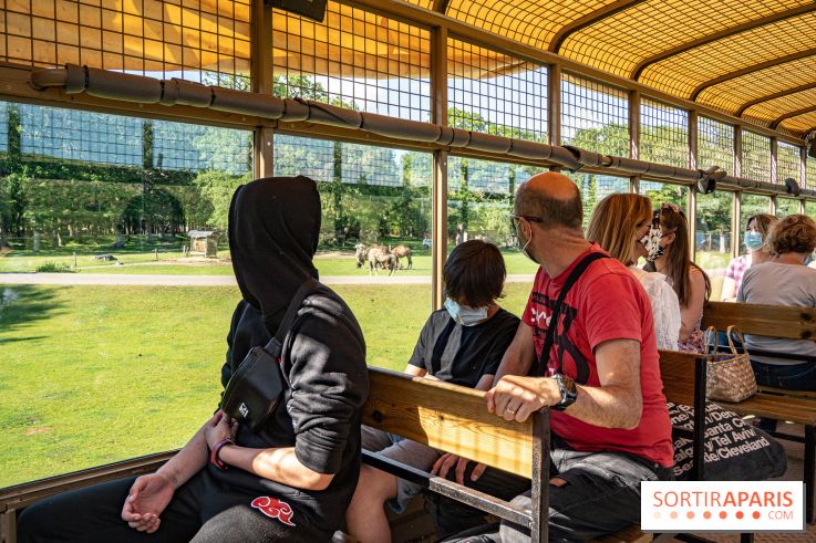 Photos du Dîner Safari du Zoo de Thoiry