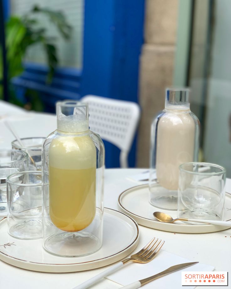 Maison Gazelle - été 2020