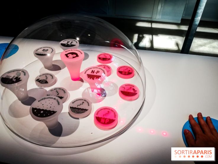 Bio-inspirée, la nouvelle expo permanente à la Cité des Sciences et de l'Industrie