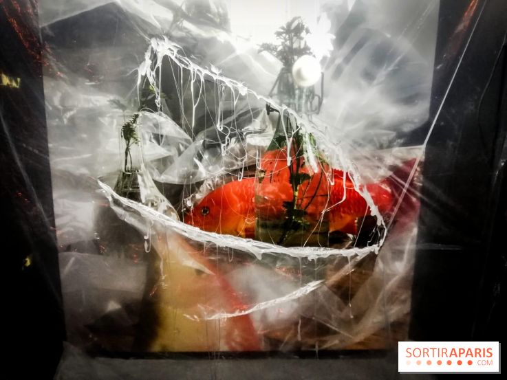 Mythologies du poisson rouge, l'exposition de l'Appart Renoma, nos photos
