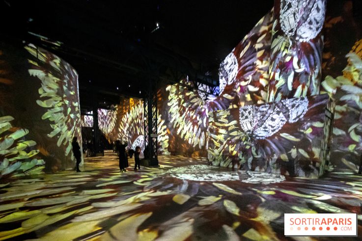 Photos : Exposition immersive Jimmy Nelson : The last sentinels à l’Atelier des Lumières