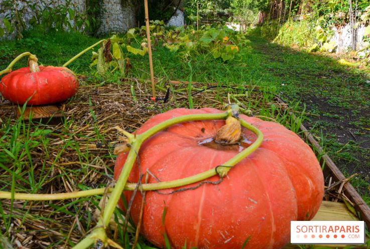 Le Domaine de la Corniche
