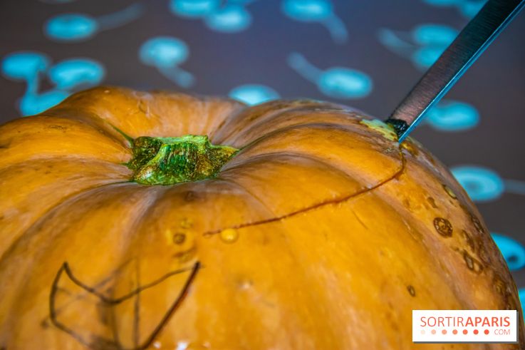 Halloween 2020 : comment creuser sa citrouille ? Le tuto