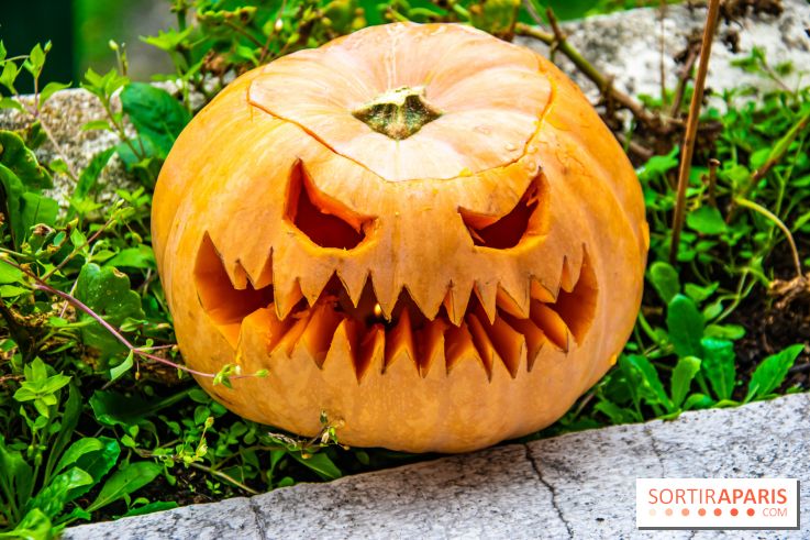 Halloween 2020 : comment creuser sa citrouille ? Le tuto
