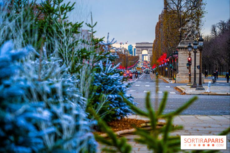 Photos : Illuminations et sapins de Noël Place de la Concorde
